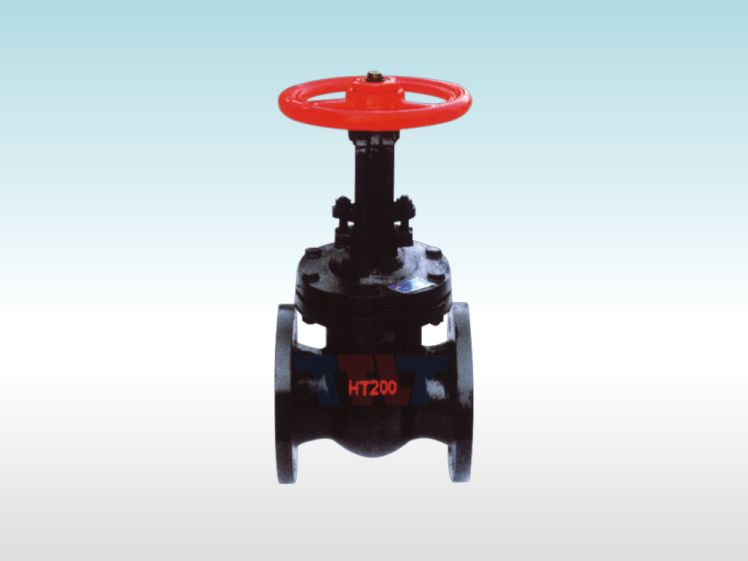 平行式雙閘板閘閥