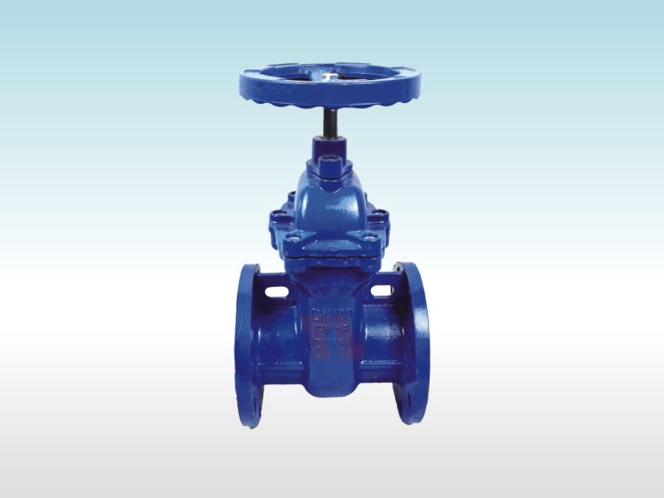 暗桿防護(hù)閘閥