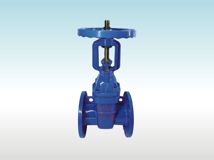 明桿防護(hù)閘閥